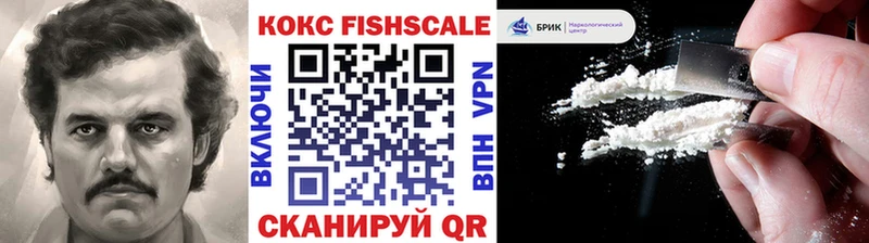 Cocaine FishScale  закладки  Беслан 